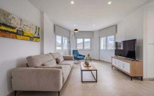 OBRA NUEVA CHALETS EN LA VIÑUELA