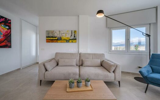 OBRA NUEVA CHALETS EN LA VIÑUELA