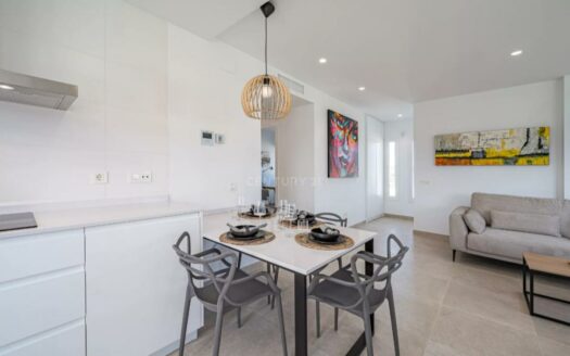 OBRA NUEVA CHALETS EN LA VIÑUELA
