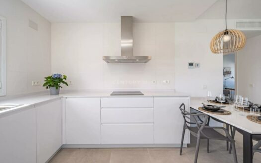 OBRA NUEVA CHALETS EN LA VIÑUELA