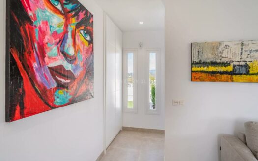 OBRA NUEVA CHALETS EN LA VIÑUELA