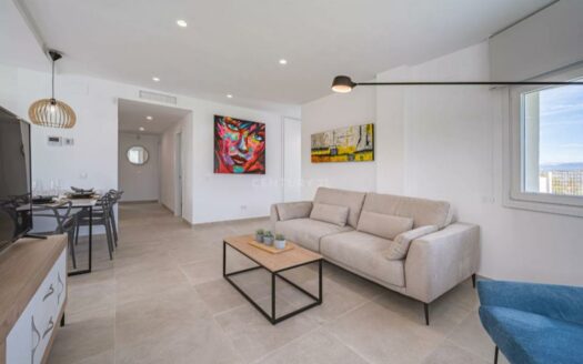 OBRA NUEVA CHALETS EN LA VIÑUELA