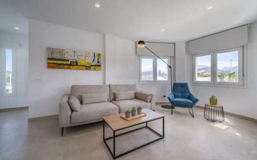 OBRA NUEVA CHALETS EN LA VIÑUELA