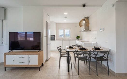 OBRA NUEVA CHALETS EN LA VIÑUELA