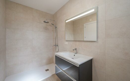 OBRA NUEVA CHALETS EN LA VIÑUELA