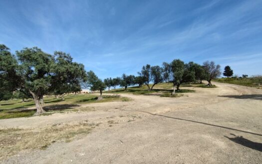 SOLAR CENTRO COMERCIAL EL INGENIO, TORRE DEL MAR
