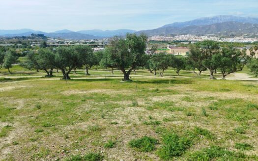 SOLAR CENTRO COMERCIAL EL INGENIO, TORRE DEL MAR
