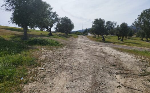 SOLAR CENTRO COMERCIAL EL INGENIO, TORRE DEL MAR