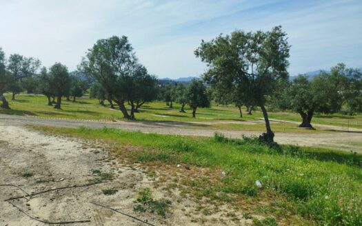 SOLAR CENTRO COMERCIAL EL INGENIO, TORRE DEL MAR