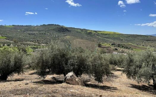 TERRENO ZONA ALDEA DE GUARO, PERIANA