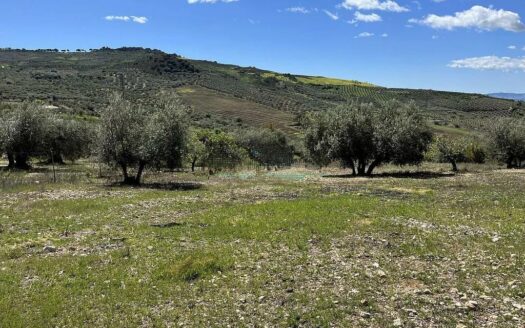 TERRENO ZONA ALDEA DE GUARO, PERIANA