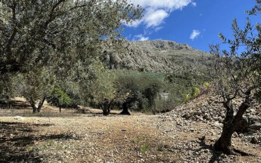 TERRENO ZONA ALDEA DE GUARO, PERIANA