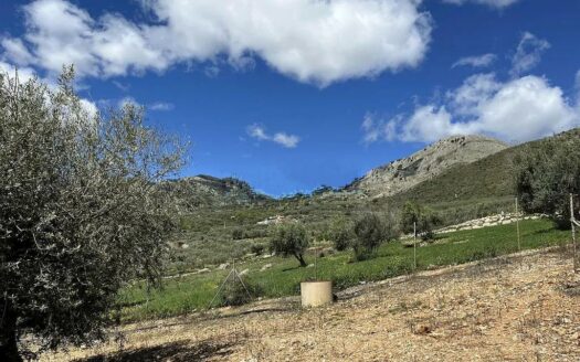 TERRENO ZONA ALDEA DE GUARO, PERIANA