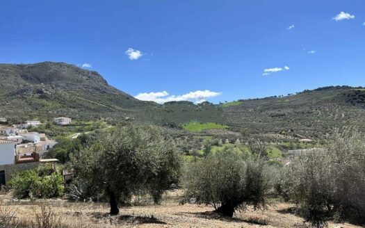 TERRENO ZONA ALDEA DE GUARO, PERIANA