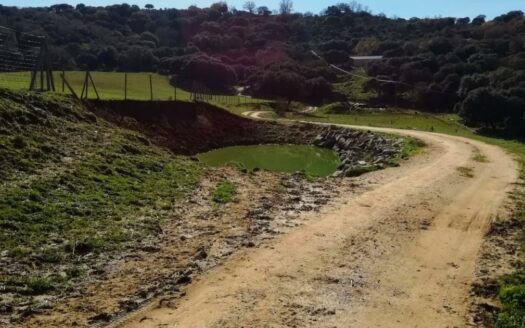 CASA CON FINCA ZONA VENTA DE LA LECHE, ZAFARRAYA
