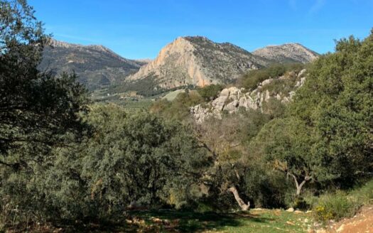 CASA CON FINCA ZONA VENTA DE LA LECHE, ZAFARRAYA