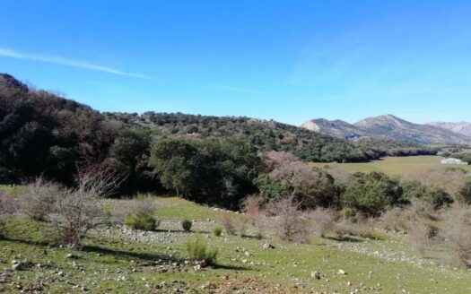 CASA CON FINCA ZONA VENTA DE LA LECHE, ZAFARRAYA