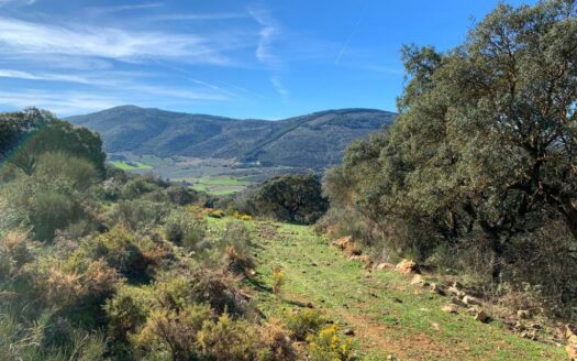 CASA CON FINCA ZONA VENTA DE LA LECHE, ZAFARRAYA