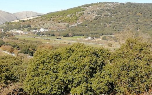 CASA CON FINCA ZONA VENTA DE LA LECHE, ZAFARRAYA