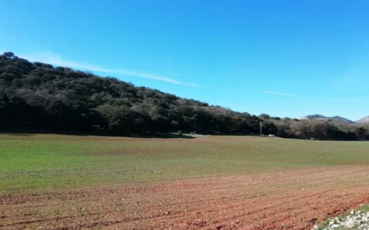 CASA CON FINCA ZONA VENTA DE LA LECHE, ZAFARRAYA