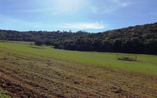 CASA CON FINCA ZONA VENTA DE LA LECHE, ZAFARRAYA