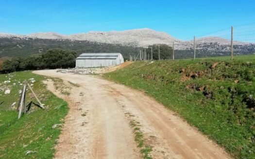 CASA CON FINCA ZONA VENTA DE LA LECHE, ZAFARRAYA