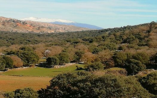 CASA CON FINCA ZONA VENTA DE LA LECHE, ZAFARRAYA