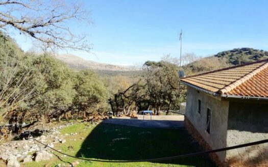 CASA CON FINCA ZONA VENTA DE LA LECHE, ZAFARRAYA