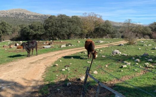 CASA CON FINCA ZONA VENTA DE LA LECHE, ZAFARRAYA