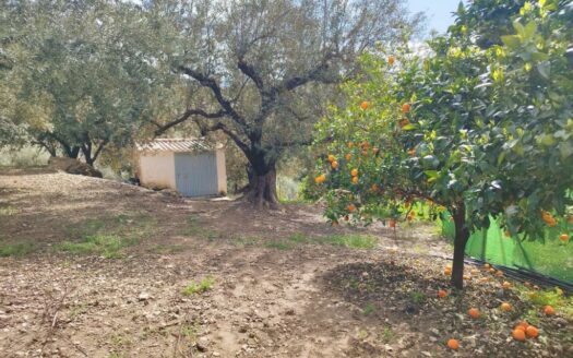 CASA CON TERRENO EN PERIANA