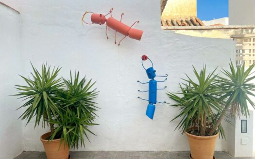 CASA ZONA CENTRO, VÉLEZ-MÁLAGA