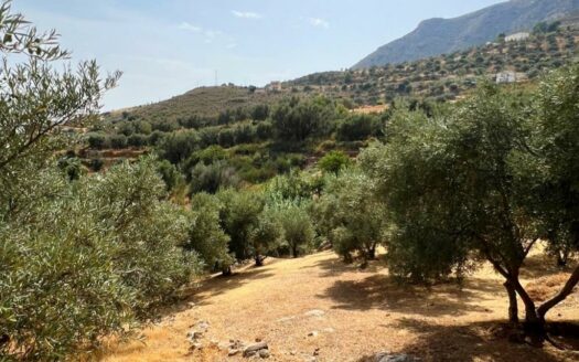 CASA CON TERRENO ZONA VENTA ALTA, ALCAUCÍN