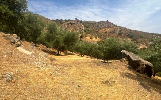 CASA CON TERRENO ZONA VENTA ALTA, ALCAUCÍN