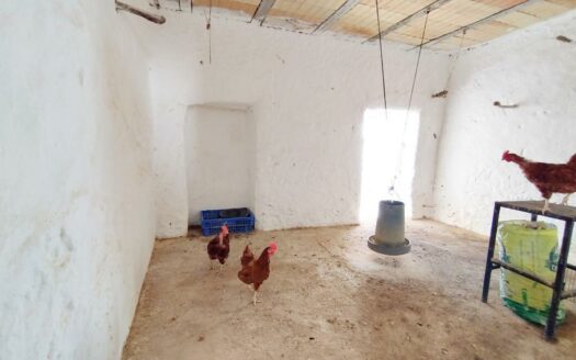 CASA ZONA LOS CAPITOS, CANILLAS DE ACEITUNO