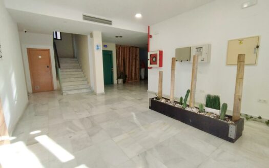 ESTUDIO AL LADO DEL MAR EN ALMAYATE