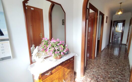 CASA CON TERRENO EN PERIANA