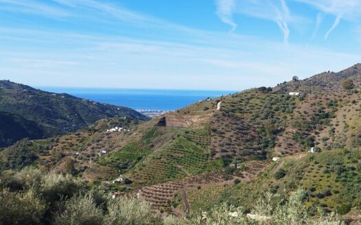TERRENO EN EL PUEBLO DE ARENAS