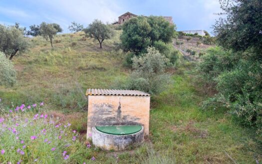 TERRENO CON CASA EN VÉLEZ-MÁLAGA