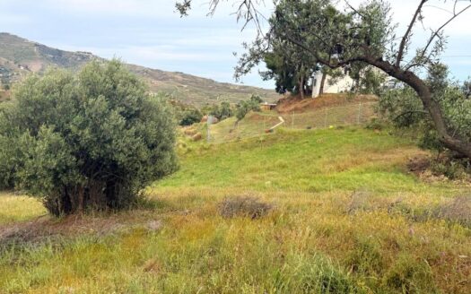TERRENO CON CASA EN VÉLEZ-MÁLAGA