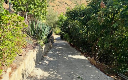 FINCA CON DOS CASAS EN BENAMARGOSA