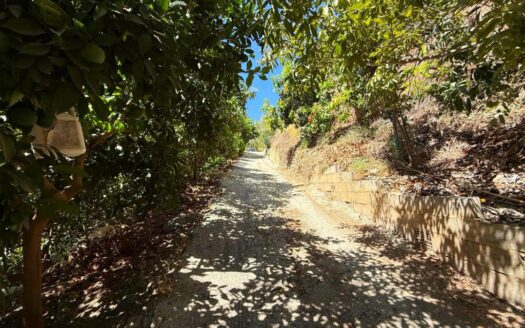 FINCA CON DOS CASAS EN BENAMARGOSA