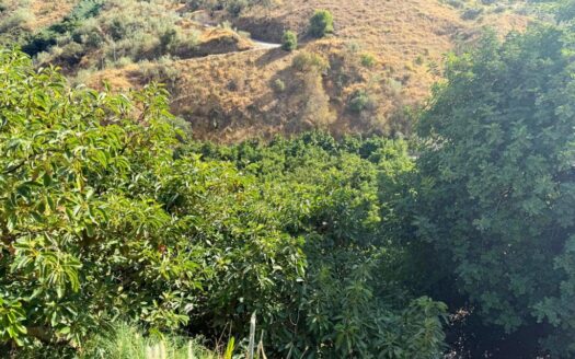 FINCA CON DOS CASAS EN BENAMARGOSA