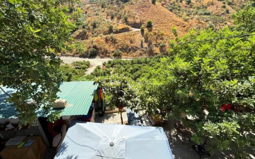 FINCA CON DOS CASAS EN BENAMARGOSA