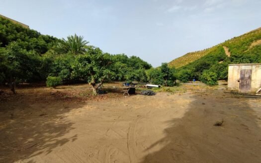FINCA AGUACATE MANGO ZONA NORTE, VÉLEZ-MÁLAGA