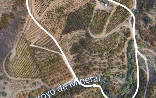 FINCA AGUACATE MANGO ZONA NORTE, VÉLEZ-MÁLAGA