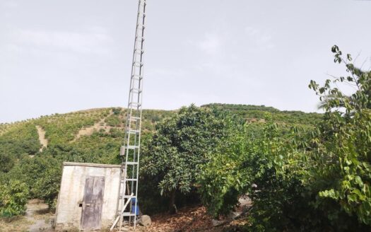FINCA AGUACATE MANGO ZONA NORTE, VÉLEZ-MÁLAGA