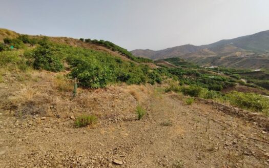 FINCA AGUACATE MANGO ZONA NORTE, VÉLEZ-MÁLAGA